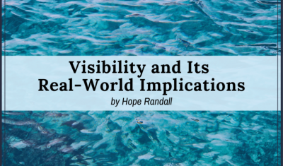 Visibility-and-its-Real-World-Implications
